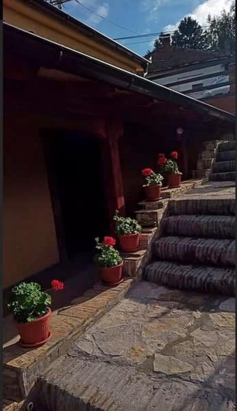 Apartmani Zapis Vrdnik Exteriör bild